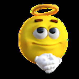 Meet your Posher, Lacey